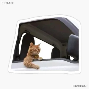 استیکر تکی گربه عصبی  1703