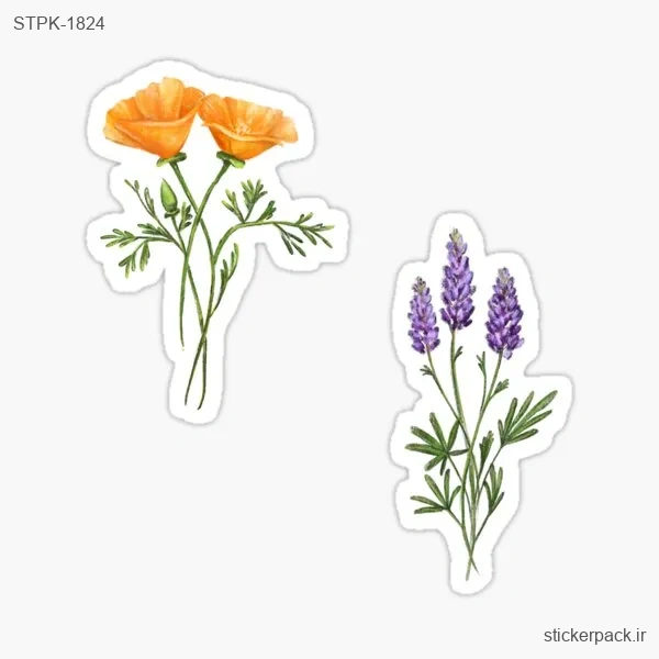 STPK-1824.webp استیکر تکی 1824