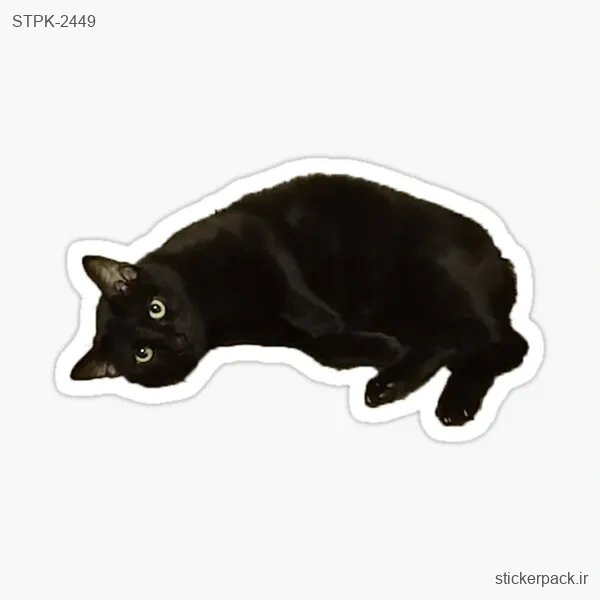 STPK-2449.webp استیکر تکی 2449