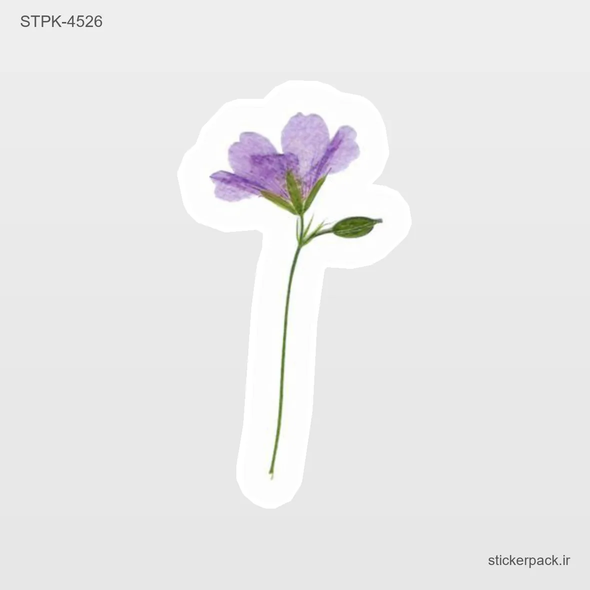STPK-4375.webp استیکر تکی 4375