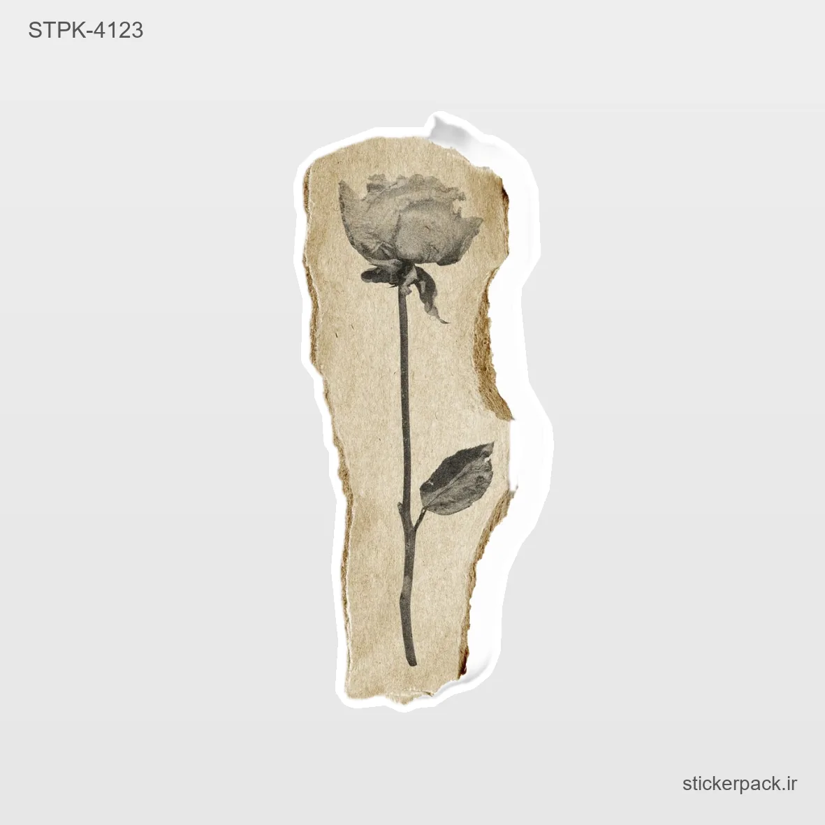 STPK-6228.webp استیکر تکی 6228